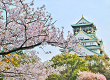 双探花决定绿军上限 疯狂五小或成他们的秘密武器